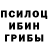 Галлюциногенные грибы мицелий Stas Havalets